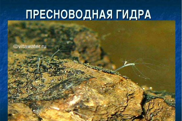Ссылка на кракен официальный сайт