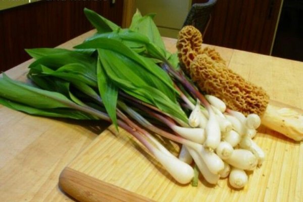 Kraken tor зеркало