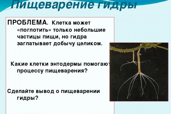 Кракен клирнет ссылка