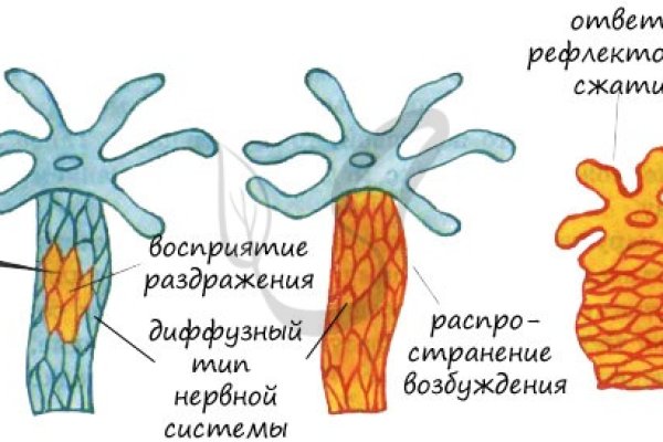 Кракен зеркало рабочее kr2web in