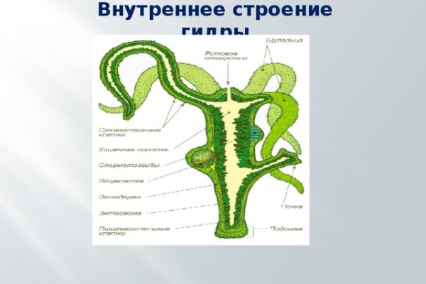 Регистрация на сайте кракен