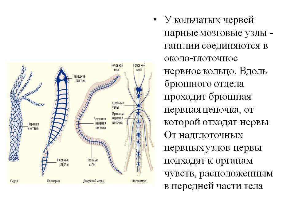 Кракен современный маркетплейс