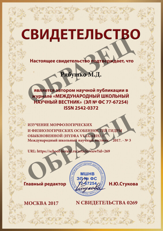 Кракен современный маркетплейс